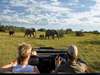 Kichaka Private Game Lodge - Game Drive 